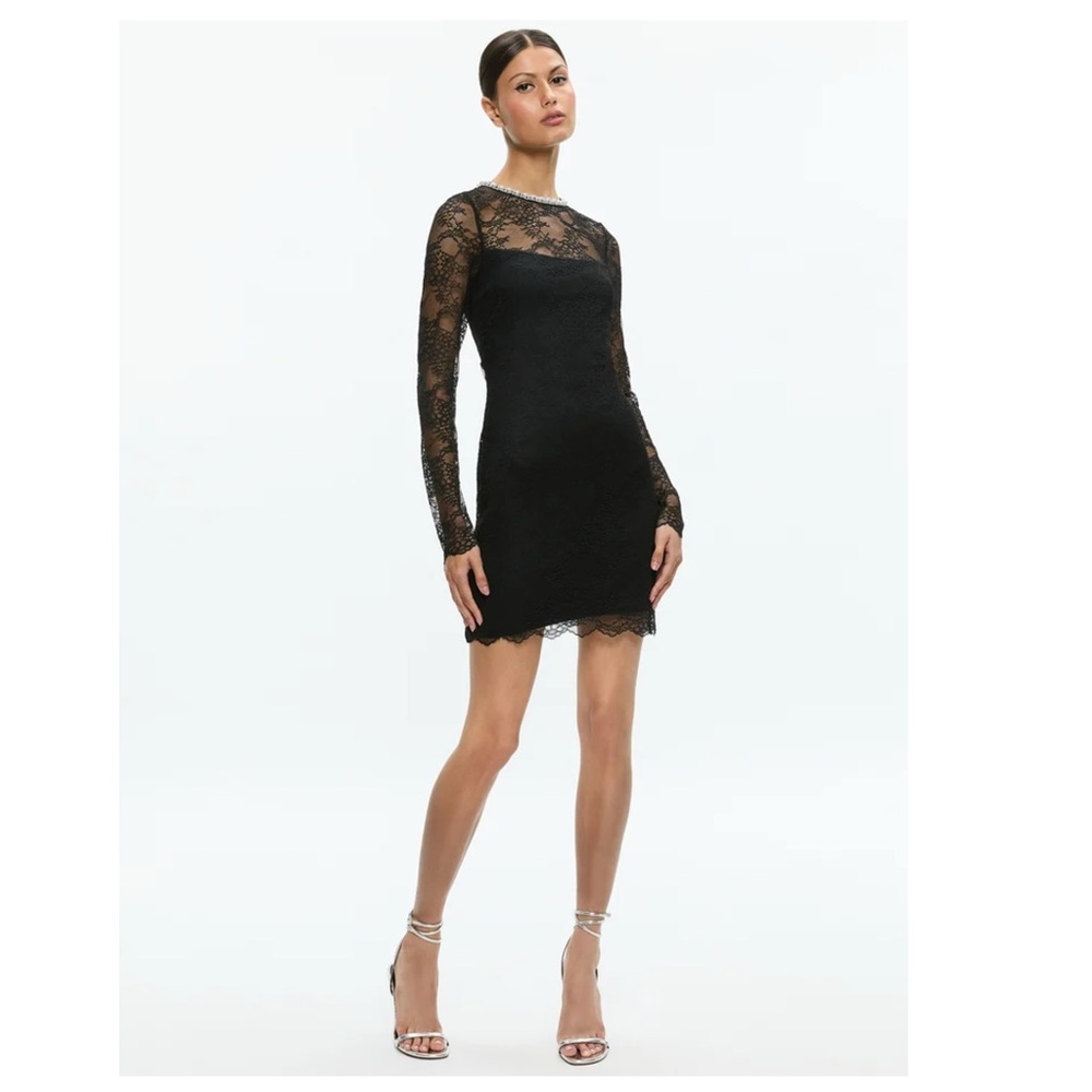 New! ALICE + OLIVIA “Delora” Embellished Neck Black Lace Mini Dress - Picture 4 of 11